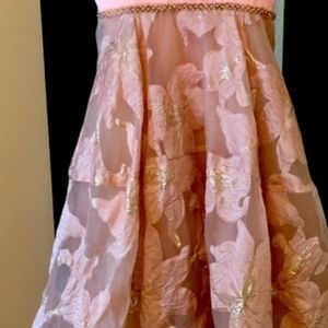 Elegant Pink And Gold Aysemetrical  Dress